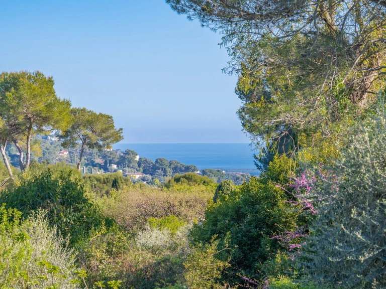 Villa for Sale in Mougins, Mougins, Valbonne, Grasse Area 3