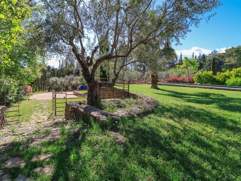 Villa for Sale in Fayence, Var Countryside (fayence, Lorgues, Cotignac) 4