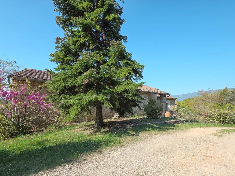 Villa for Sale in Fayence, Var Countryside (fayence, Lorgues, Cotignac) 3