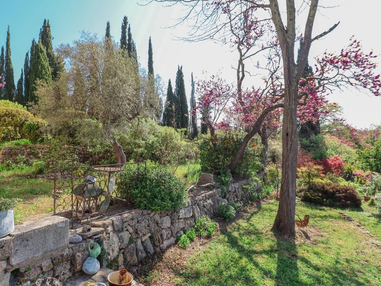 Villa for Sale in Fayence, Var Countryside (fayence, Lorgues, Cotignac) 6