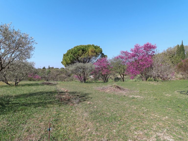 Villa for Sale in Fayence, Var Countryside (fayence, Lorgues, Cotignac) 7