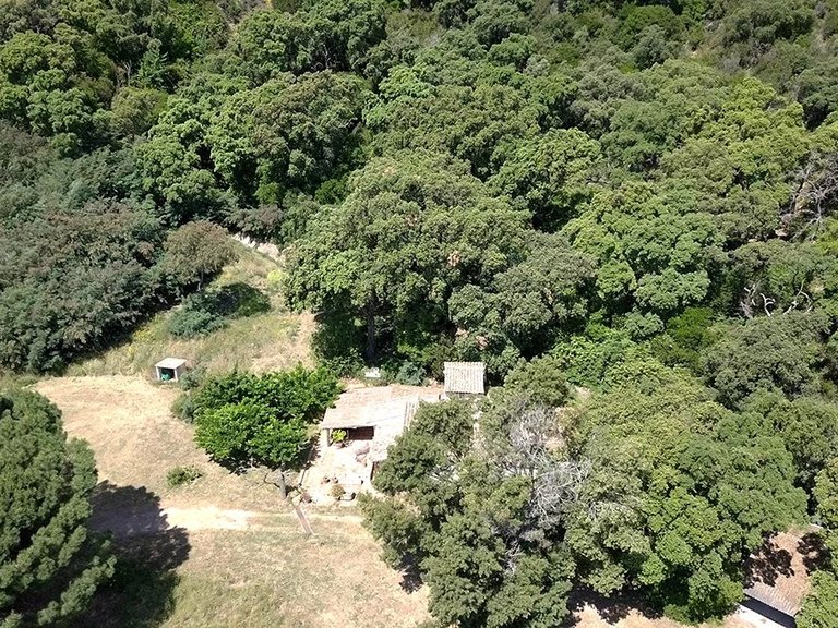 Villa for Sale in Cavalaire Sur Mer, Provence Coast (cassis To Cavalaire) 5