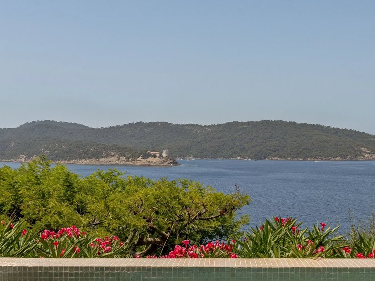 Villa for Sale in Ile Du Levant, Provence Coast (cassis To Cavalaire) 13