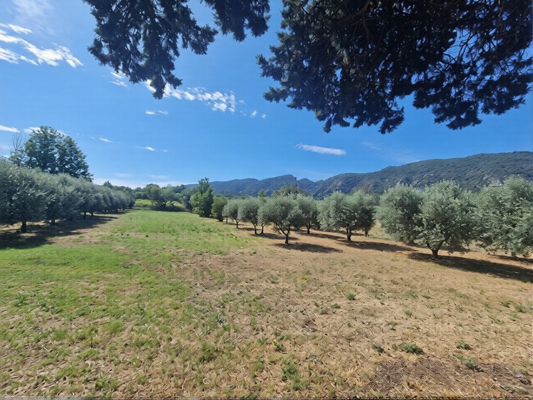 Villa for Sale in Oppede, The Luberon / Vaucluse 4