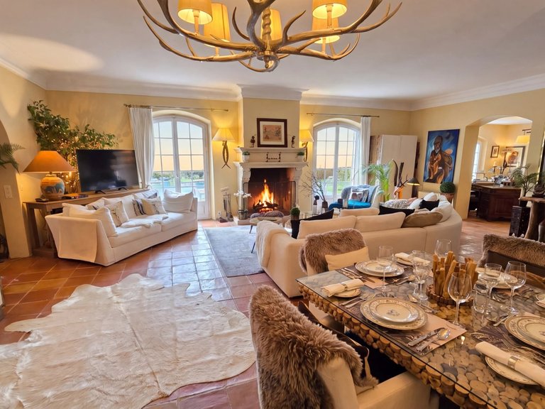 Villa for Sale in Roquefort Les Pins, Mougins, Valbonne, Grasse Area 4