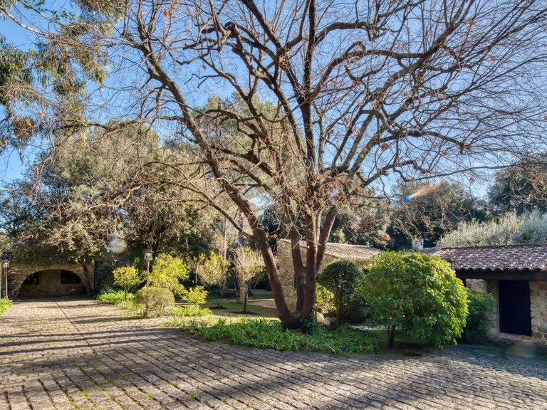 Villa for Sale in St Paul, Vence, St. Paul Area 14