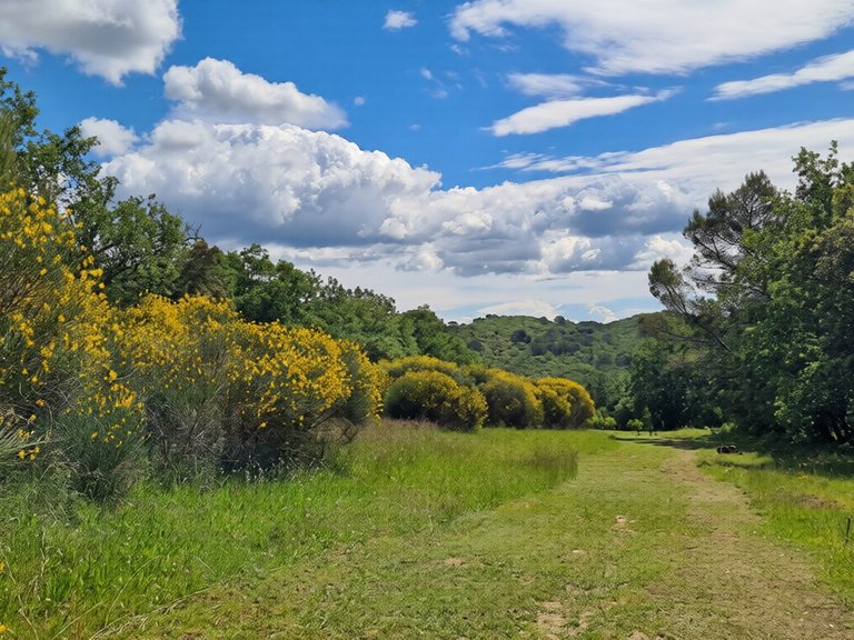 Villa for Sale in Uzes, Uzes Area 18