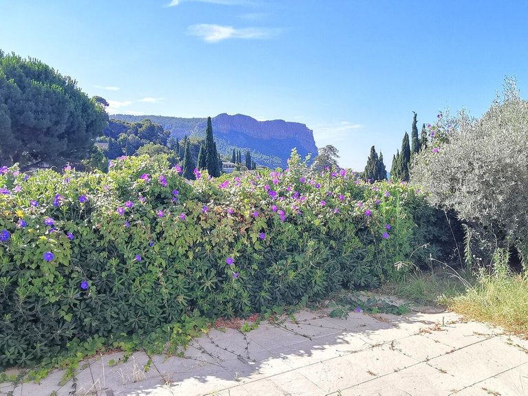 Apartment for Sale in Cassis, Provence Coast (cassis To Cavalaire) 2