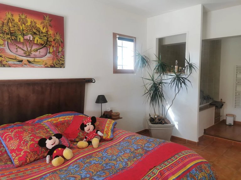 Villa for Sale in Lorgues, Var Countryside (fayence, Lorgues, Cotignac) 12