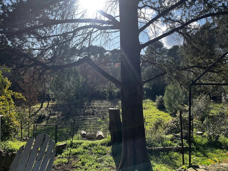 Villa for Sale in Lorgues, Var Countryside (fayence, Lorgues, Cotignac) 12