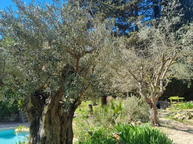 Villa for Sale in Lorgues, Var Countryside (fayence, Lorgues, Cotignac) 7