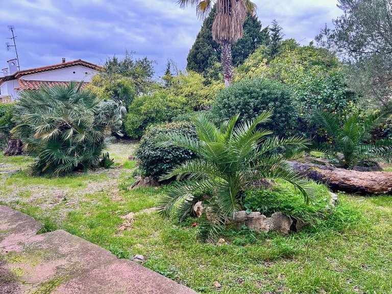 Villa for Sale in Cap D Antibes, Antibes Area 9
