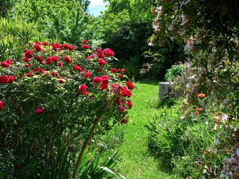 Villa for Sale in Uzes, Uzes Area 17