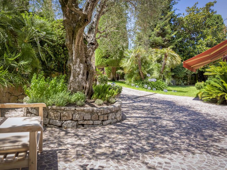 Villa for Sale in Le Cannet, Cannes Area 9