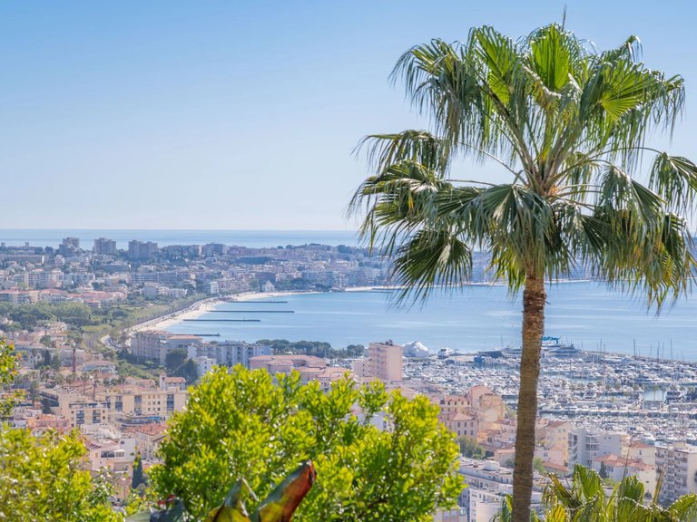 Villa for Sale in Cannes, Cannes Area 10