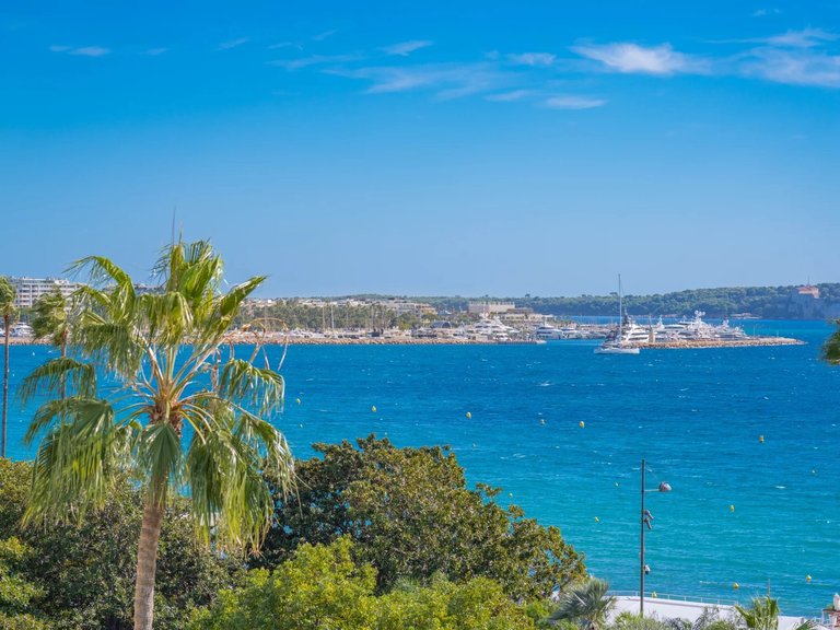 Apartment for Sale in Cannes, Cannes Area 3