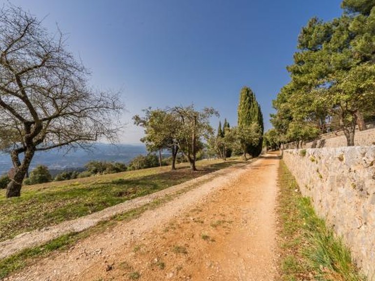 Villa for Sale in Grasse, Mougins, Valbonne, Grasse Area 16