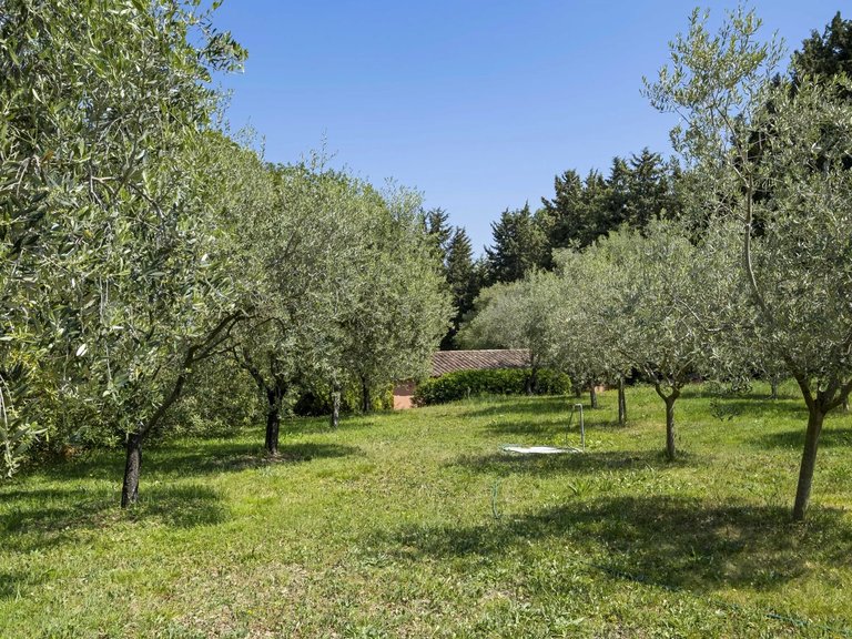 Villa for Sale in Mougins, Mougins, Valbonne, Grasse Area 5
