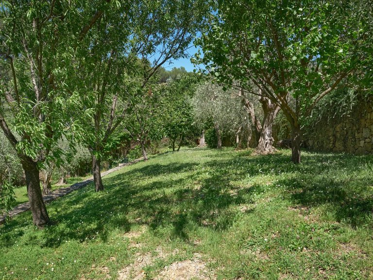 Villa for Sale in Mougins, Mougins, Valbonne, Grasse Area 7
