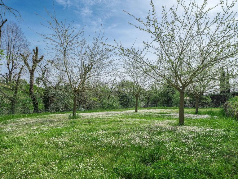 Villa for Sale in Chateauneuf Grasse, Mougins, Valbonne, Grasse Area 7