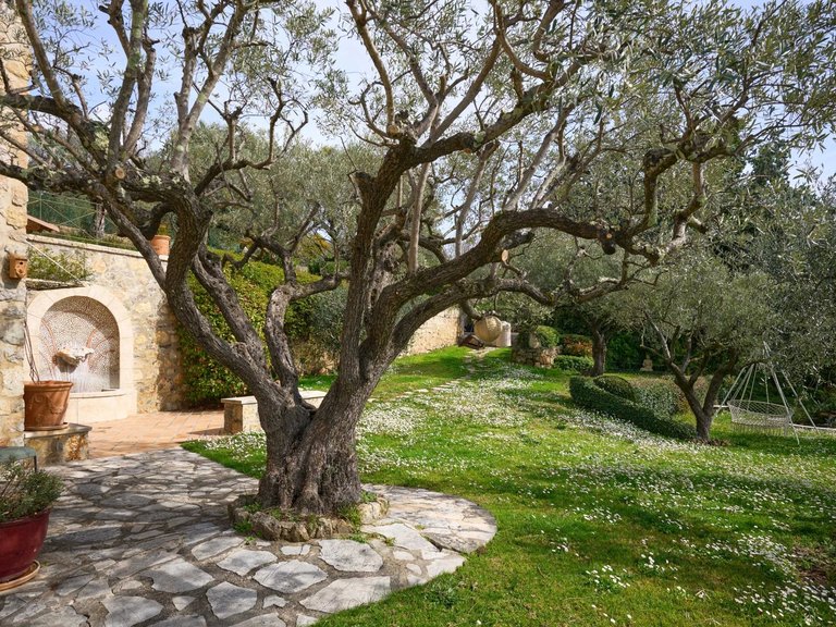 Villa for Sale in Montauroux, Var Countryside (fayence, Lorgues, Cotignac) 9