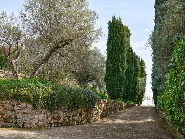 Villa for Sale in Montauroux, Var Countryside (fayence, Lorgues, Cotignac) 12