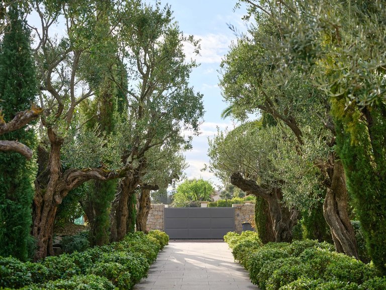 Villa for Sale in Saint Tropez, St. Tropez, Grimaud Area 15