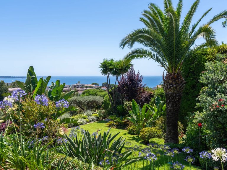 Villa for Sale in Cannes, Cannes Area 3