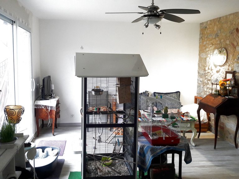 Villa for Sale in Anduze, Uzes Area 15
