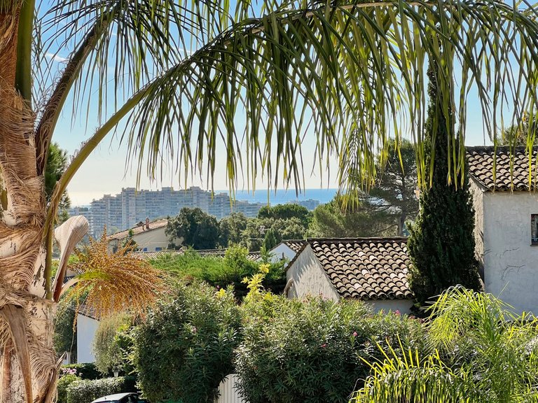 Villa for Sale in Mandelieu La Napoule, Cannes Area 13