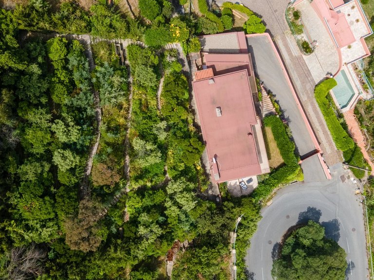 Villa for Sale in Theoule Sur Mer, Cannes Area 18