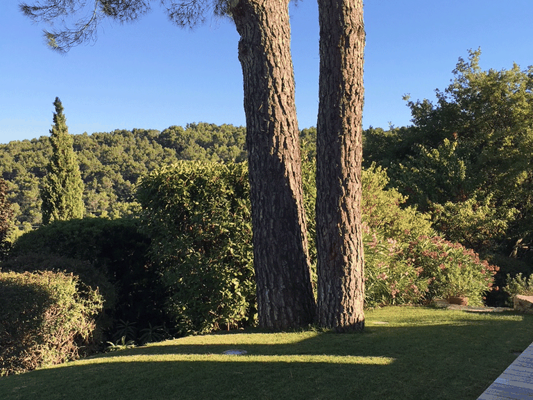 Villa for Sale in Seillans, Var Countryside (fayence, Lorgues, Cotignac) 8
