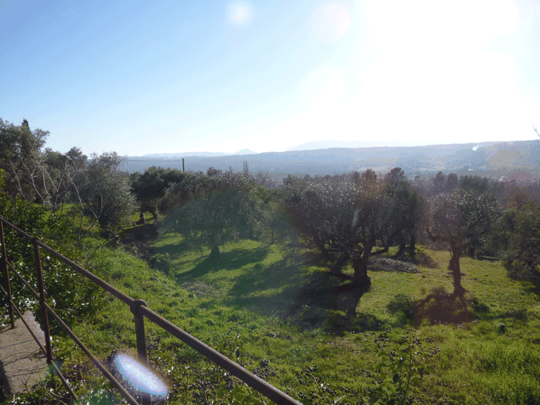 Villa for Sale in Fayence, Var Countryside (fayence, Lorgues, Cotignac) 2