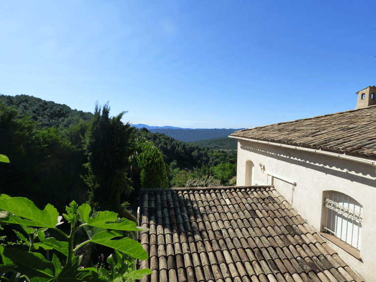 Villa for Sale in Seillans, Var Countryside (fayence, Lorgues, Cotignac) 13