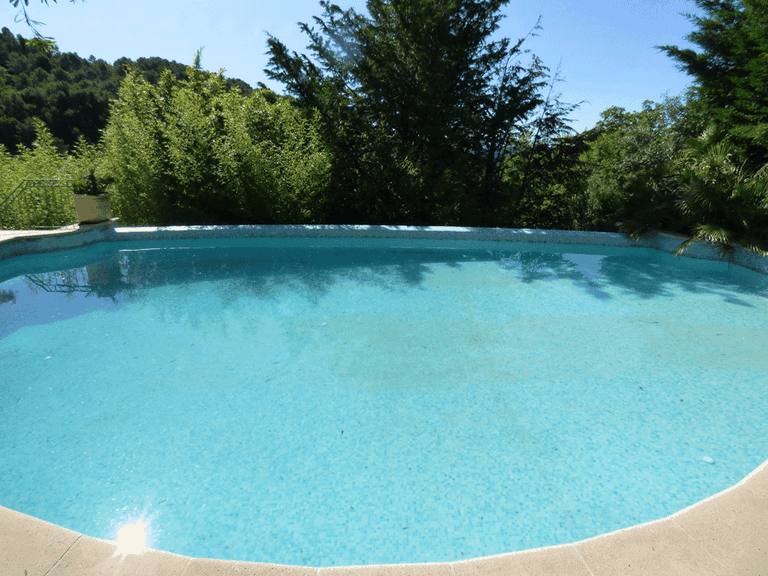 Villa for Sale in Seillans, Var Countryside (fayence, Lorgues, Cotignac) 6