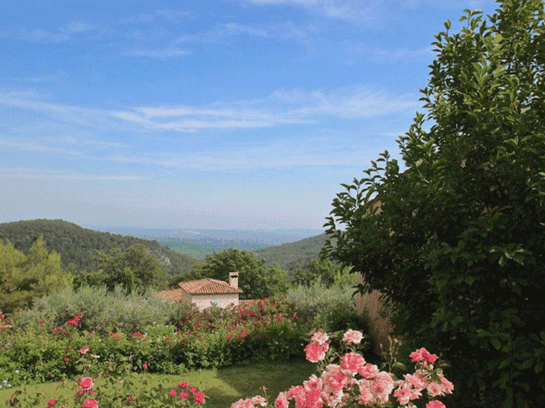 Villa for Sale in Seillans, Var Countryside (fayence, Lorgues, Cotignac) 12