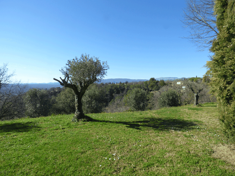 Villa for Sale in Montauroux, Var Countryside (fayence, Lorgues, Cotignac) 11