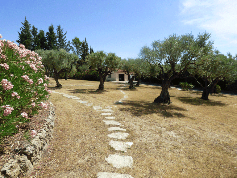 Villa for Sale in Fayence, Var Countryside (fayence, Lorgues, Cotignac) 12