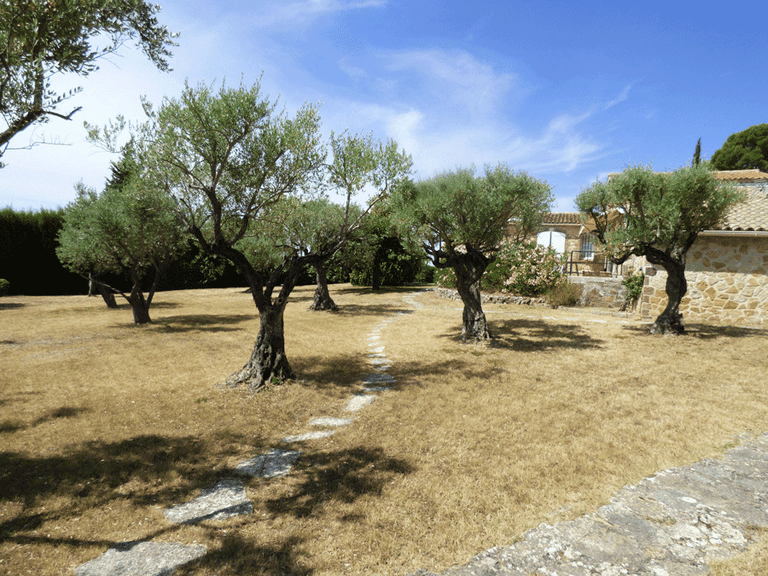 Villa for Sale in Fayence, Var Countryside (fayence, Lorgues, Cotignac) 4
