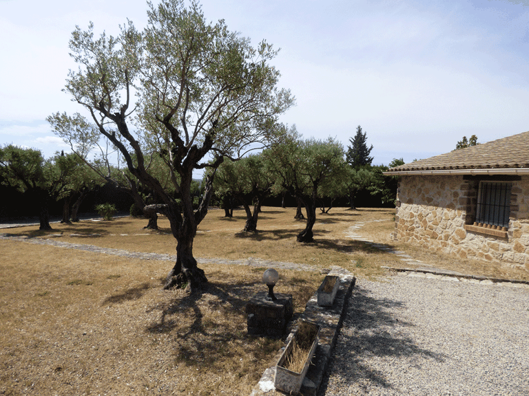 Villa for Sale in Fayence, Var Countryside (fayence, Lorgues, Cotignac) 8