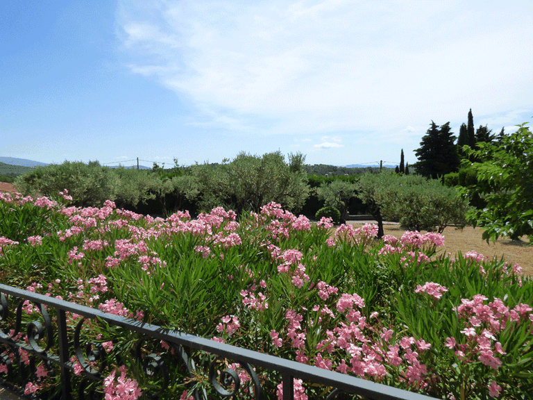 Villa for Sale in Fayence, Var Countryside (fayence, Lorgues, Cotignac) 9
