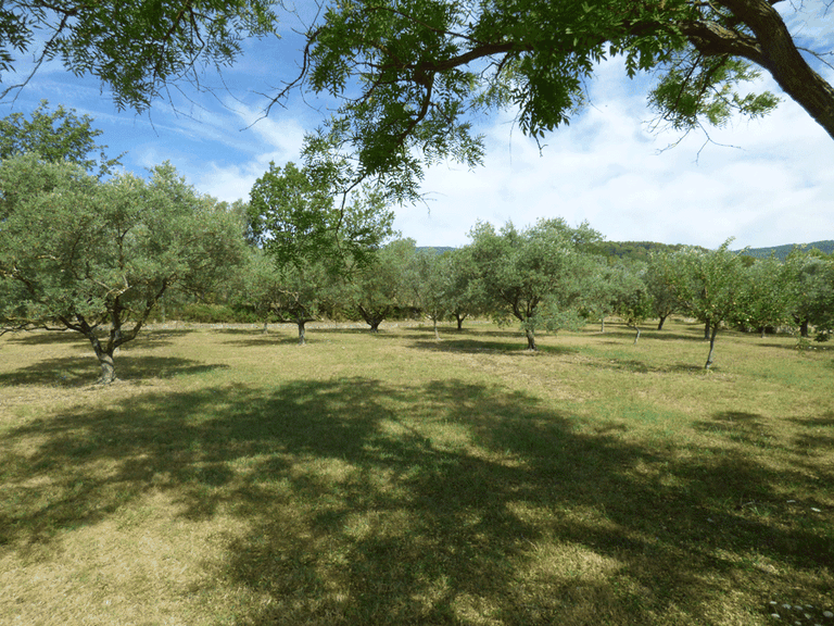 Villa for Sale in Fayence, Var Countryside (fayence, Lorgues, Cotignac) 2
