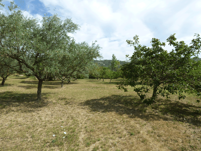 Villa for Sale in Fayence, Var Countryside (fayence, Lorgues, Cotignac) 17