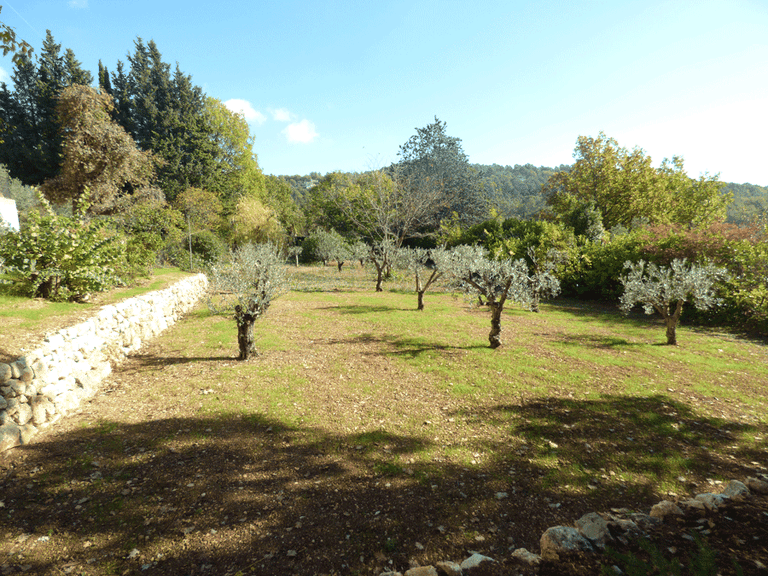 Villa for Sale in Seillans, Var Countryside (fayence, Lorgues, Cotignac) 2