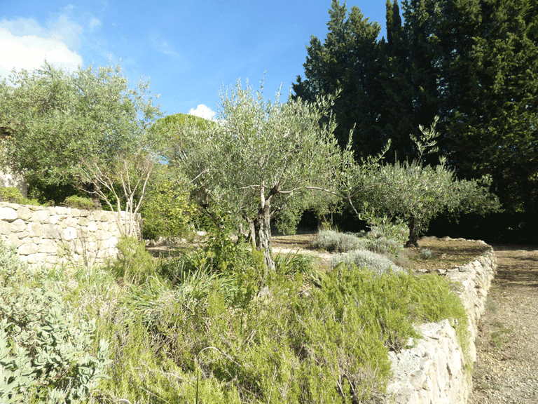 Villa for Sale in Seillans, Var Countryside (fayence, Lorgues, Cotignac) 15