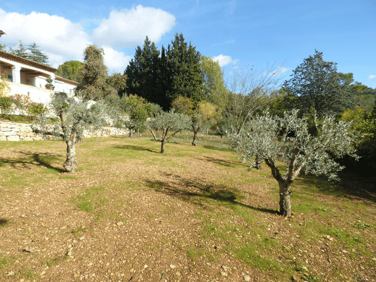 Villa for Sale in Seillans, Var Countryside (fayence, Lorgues, Cotignac) 17