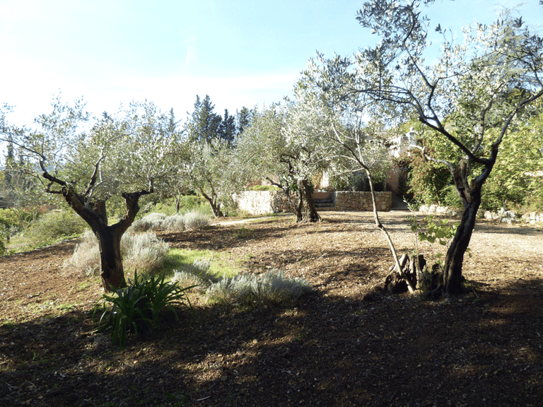 Villa for Sale in Seillans, Var Countryside (fayence, Lorgues, Cotignac) 10