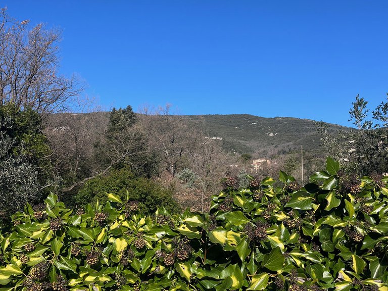 Villa for Sale in Seillans, Var Countryside (fayence, Lorgues, Cotignac) 16