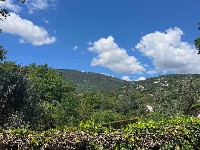 Villa for Sale in Seillans, Var Countryside (fayence, Lorgues, Cotignac) 2