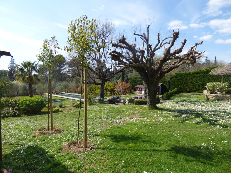 Villa for Sale in Tourrettes, Var Countryside (fayence, Lorgues, Cotignac) 10